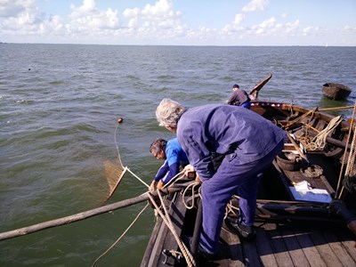 Kuilvissen op het Markermeer