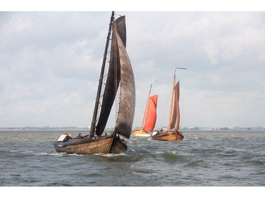 Bontekoerace 2015-reginavanraalte1 Bontekoerace 2015-reginavanraalte1