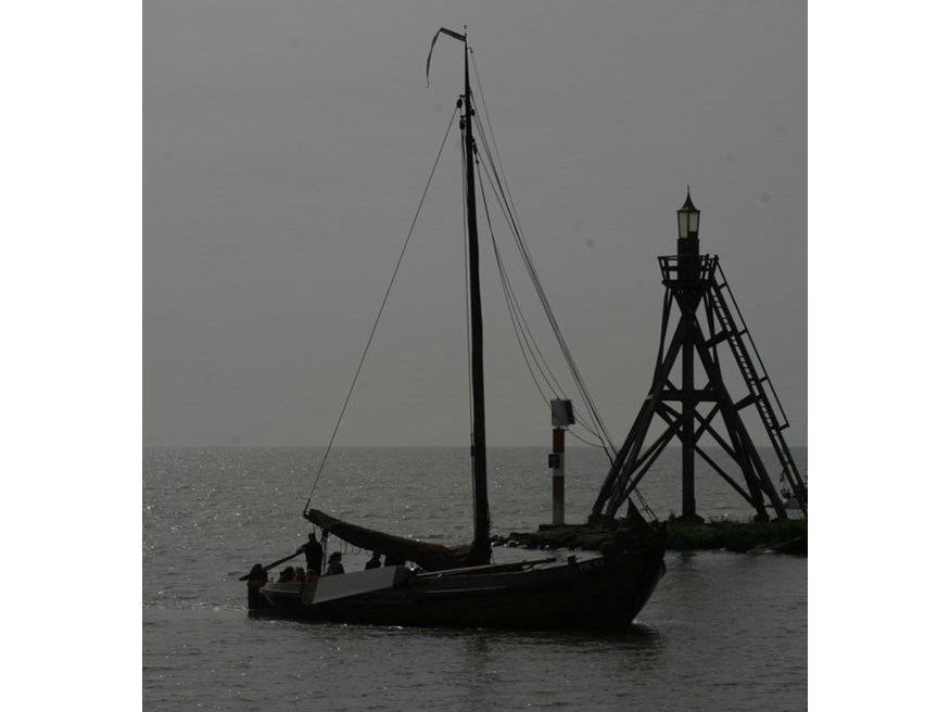 119_org
