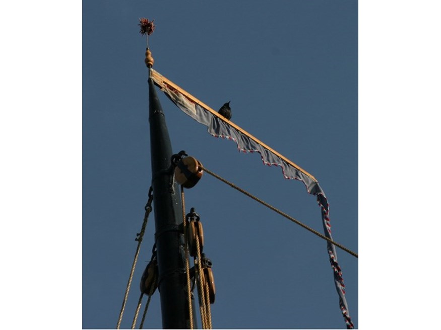 137_org 137_org